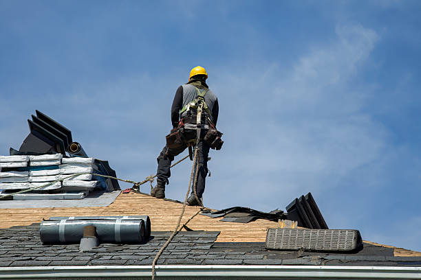 Professional Roof Replacement technician working in Clint, TX